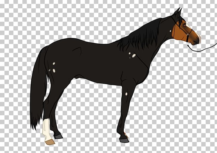 Mustang Stallion Pony Mare Rein PNG, Clipart, Bridle, Colt, Dog Harness, Edgar Dale, English Riding Free PNG Download