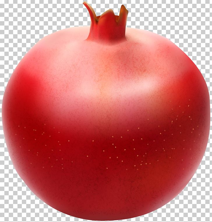 Pomegranate Food PNG, Clipart, Apple, Art, Christmas Ornament, Cranberry, Desktop Wallpaper Free PNG Download