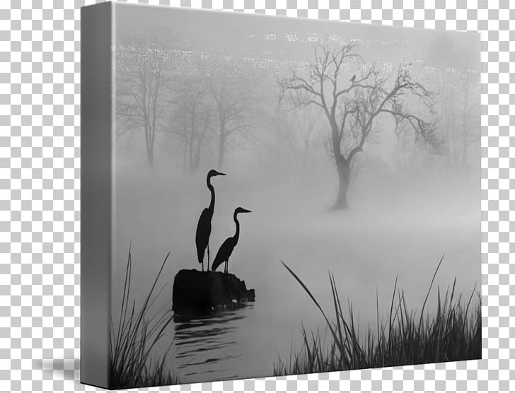 Canvas Print Art Printing PNG, Clipart, Art, Bird, Black And White, Canvas, Canvas Print Free PNG Download