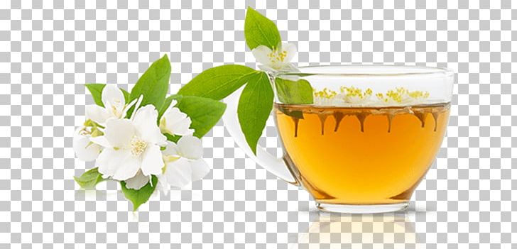 Earl Grey Tea Matcha Green Tea Mate Cocido Latte PNG, Clipart, Cup, Drink, Earl Grey Tea, Flavor, Green Tea Free PNG Download