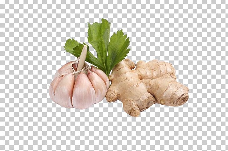 Ginger Tea Garlic Spice PNG, Clipart, Burden, Cartoon Garlic, Chili Garlic, Chili Pepper, Curry Powder Free PNG Download