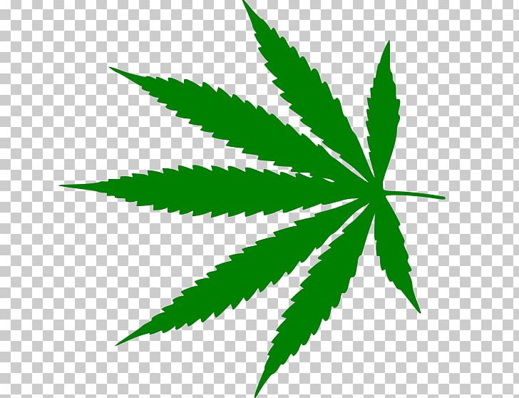 Medical Cannabis Legalization Amazon.com Joint PNG, Clipart, Amazoncom, Aurora Cannabis, Cannabis, Decriminalization, Dispensary Free PNG Download