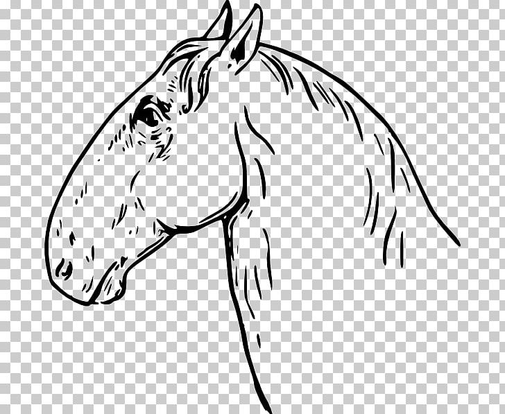 Mustang Arabian Horse Horses PNG, Clipart, Artwork, Beak, Black, Black And White, Carnivoran Free PNG Download