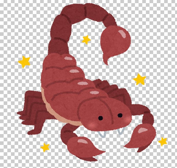 Scorpion Scorpius Sun Sign Astrology Stinger PNG, Clipart, Character Structure, Constellation, Fictional Character, Insects, Luck Free PNG Download