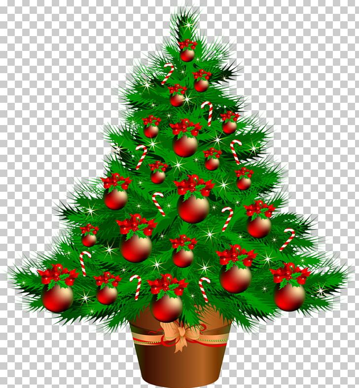 Santa Claus Candy Cane Christmas Tree Gift PNG, Clipart, Candy Cane, Christmas, Christmas And Holiday Season, Christmas Card, Christmas Decoration Free PNG Download