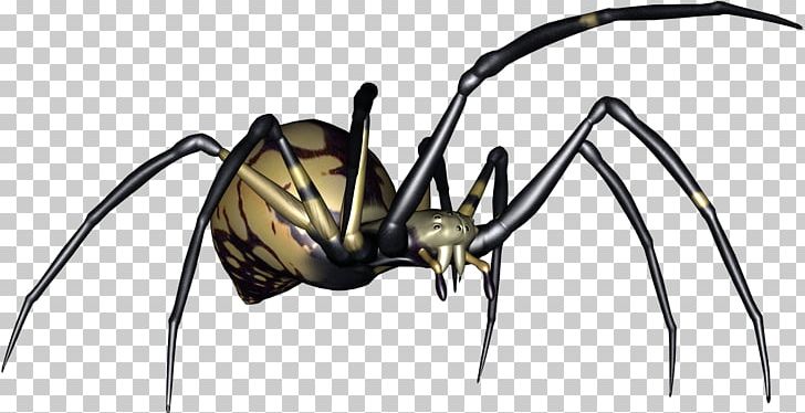 Widow Spiders Digital PNG, Clipart, Arachnid, Arthropod, Blog, Digital Image, Fairy Tale Free PNG Download