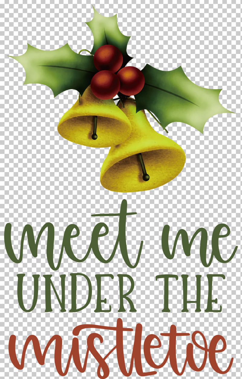 Meet Me Under The Mistletoe Mistletoe PNG, Clipart, Christmas Day, Christmas Ornament, Christmas Ornament M, Fruit, Meter Free PNG Download