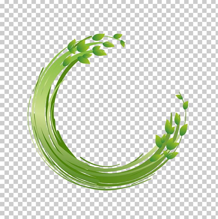 Circle Paint.net Computer File PNG, Clipart, Background Green, Border Texture, Circle Frame, Design, Fresh Free PNG Download