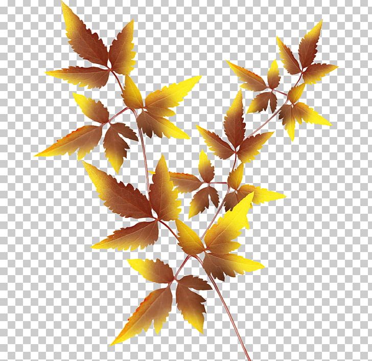 Twig Leaf Autumn PNG, Clipart, Autumn, Branch, Cut Flowers, Leaf, Maple Leaf Free PNG Download