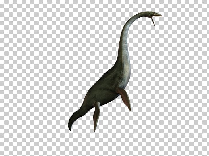 Bird PhotoScape GIMP Beak PNG, Clipart, Animal, Beak, Bird, Crane Like Bird, Dinosaur Free PNG Download