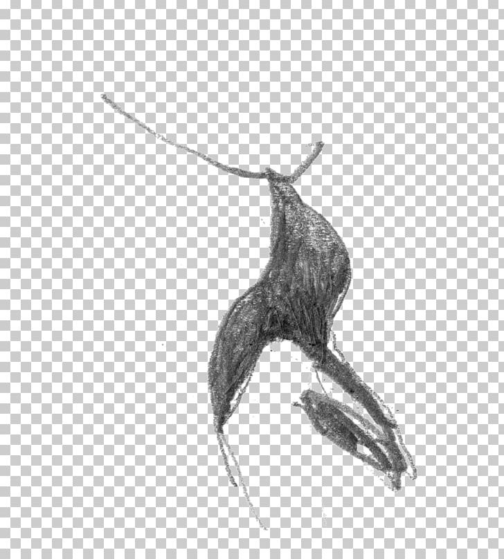 /m/02csf Beak Drawing Nest Feather PNG, Clipart, Beak, Bird, Black And White, Cumbrera, Drawing Free PNG Download