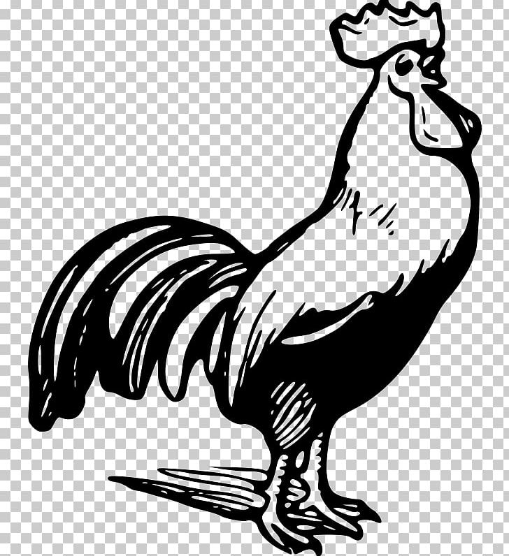 Rooster PNG, Clipart, Art, Artwork, Beak, Bird, Black Free PNG Download