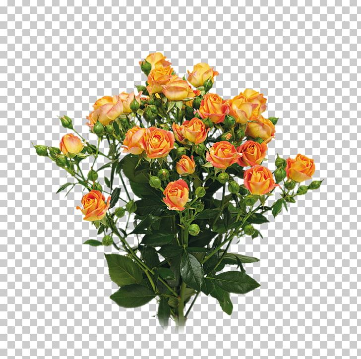 Garden Roses Floral Design Cut Flowers Flower Bouquet PNG, Clipart, Annual Plant, Artificial Flower, Cut Flowers, Family, Family Film Free PNG Download