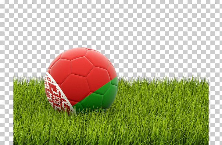 Albania National Football Team Arabian Gulf Cup Sport PNG, Clipart, Albania, Albania National Football Team, Arabian Gulf Cup, Artificial Turf, Computer Wallpaper Free PNG Download