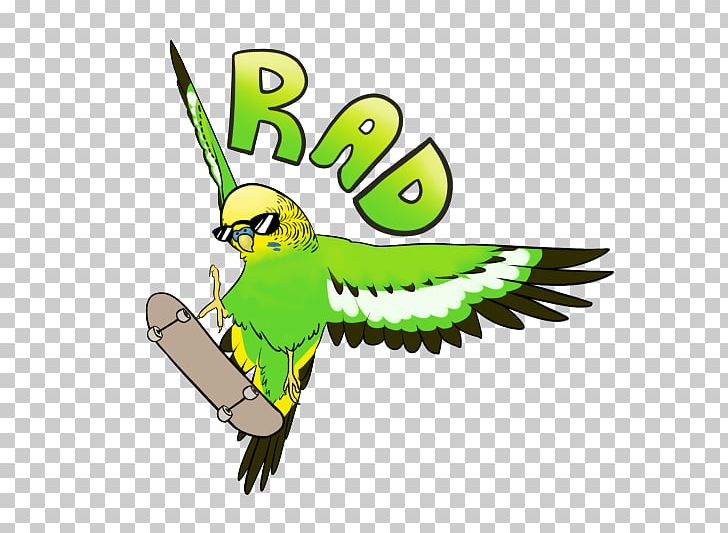 Budgerigar Parrot Bird Parakeet PNG, Clipart, Animals, Artwork, Beak, Bird, Budgerigar Free PNG Download