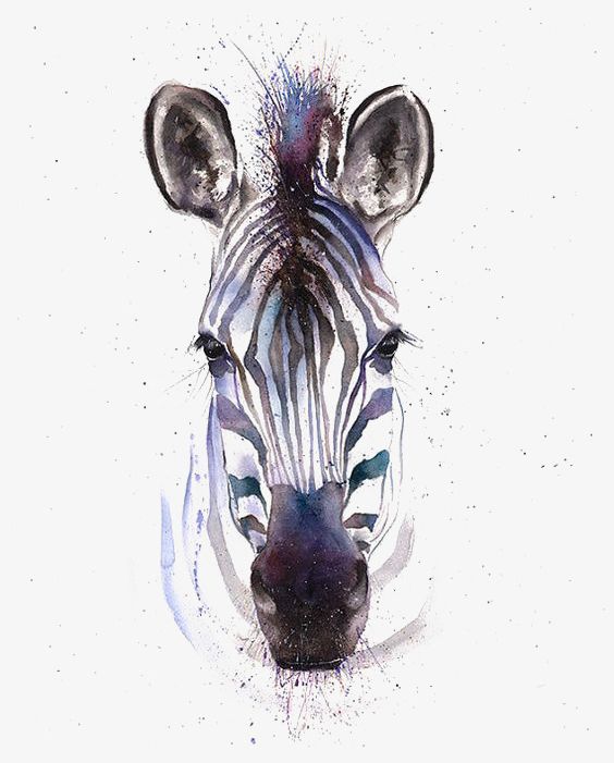 Drawing Zebra PNG, Clipart, African, African Animals, Animal, Animals, Animals In The Wild Free PNG Download