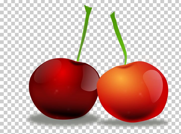 Fruit PNG, Clipart, Apple, Cherry, Diet Food, Download, Drawing Free PNG Download