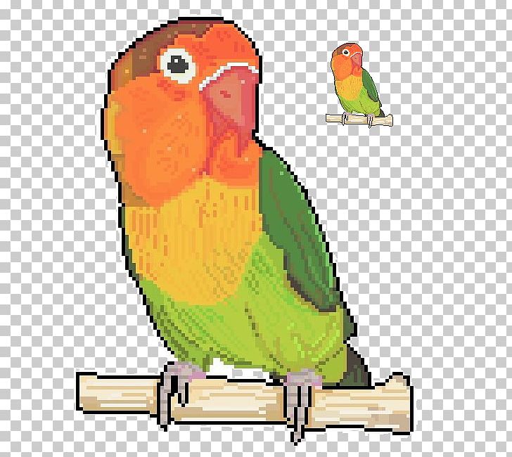 Budgerigar Lovebird Parrot Loriini Parakeet PNG, Clipart, Animals, Art, Beak, Bird, Bird Supply Free PNG Download