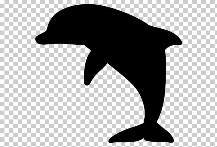 Common Bottlenose Dolphin Tucuxi T-shirt Spreadshirt PNG, Clipart, Bing, Black, Black And White, Bottlenose Dolphin, Child Free PNG Download