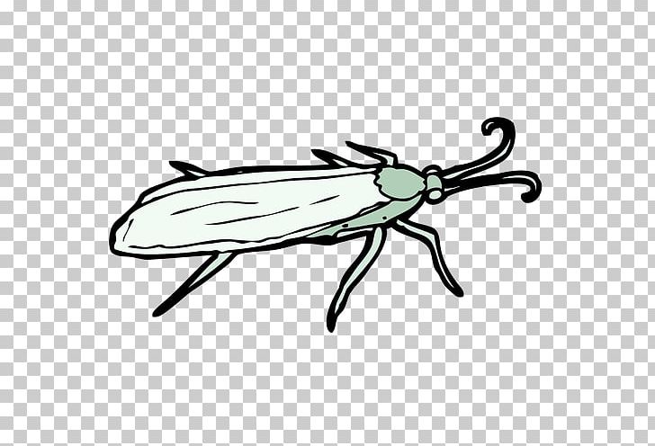 Insect Drawing PNG, Clipart, Animals, Arthropod, Artwork, Black And White, Cartoon Free PNG Download