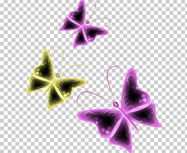 Symmetry Family Violet PNG, Clipart, Butterfly, Family, Flower, Insect, Invertebrate Free PNG Download