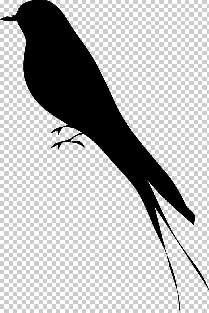 Bird Silhouette Drawing PNG, Clipart, Animals, Art, Beak, Bird, Bird Silhouette Free PNG Download