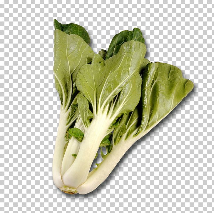 Romaine Lettuce Chard Spinach Quiche Puff Pastry PNG, Clipart, Blanching, Chard, Chinese Broccoli, Choy Sum, Collard Greens Free PNG Download