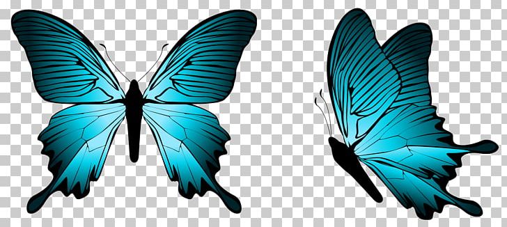 Butterfly PNG, Clipart, Blue, Bluegreen, Butterflies And Moths, Butterfly, Computer Icons Free PNG Download