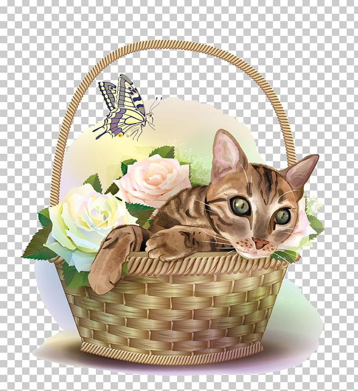 Cat Kitten PNG, Clipart, Animal, Animals, Art, Basket, Basket Of Apples Free PNG Download