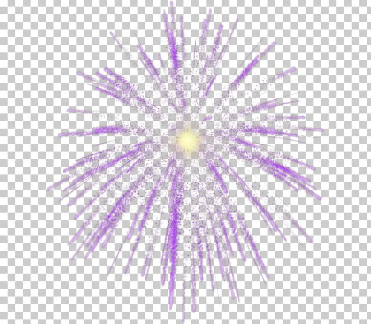 Fireworks PNG, Clipart, Adobe Fireworks, Albom, Artificier, Cartoon Fireworks, Chinese New Year Free PNG Download