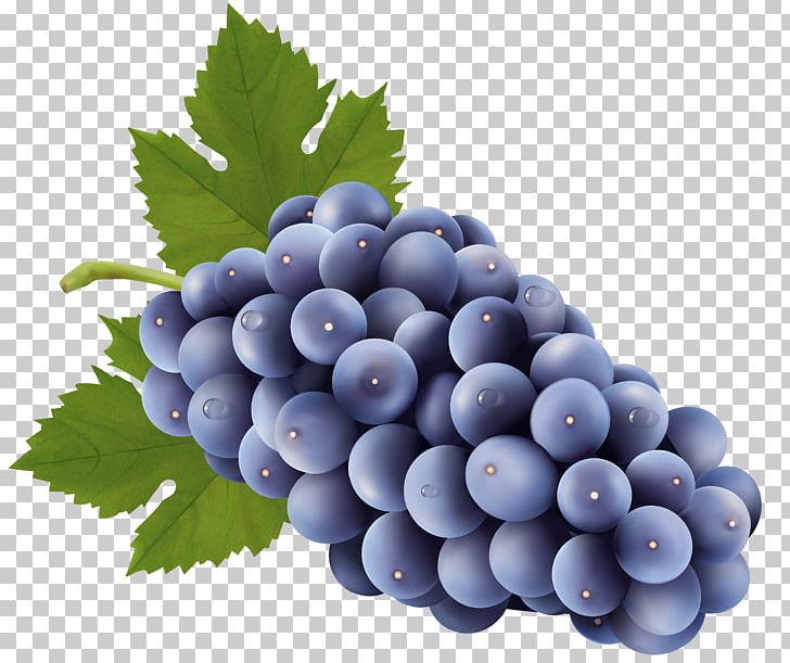 Muscadine Grape Wine Common Grape Vine PNG, Clipart, Bilberry, Blueberry, Canning, Common Grape Vine, Dried Fruit Free PNG Download