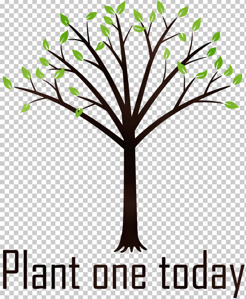Leaf Plant Stem Twig Tree Meter PNG, Clipart, Arbor Day, Biology, Flower, Geometry, Leaf Free PNG Download