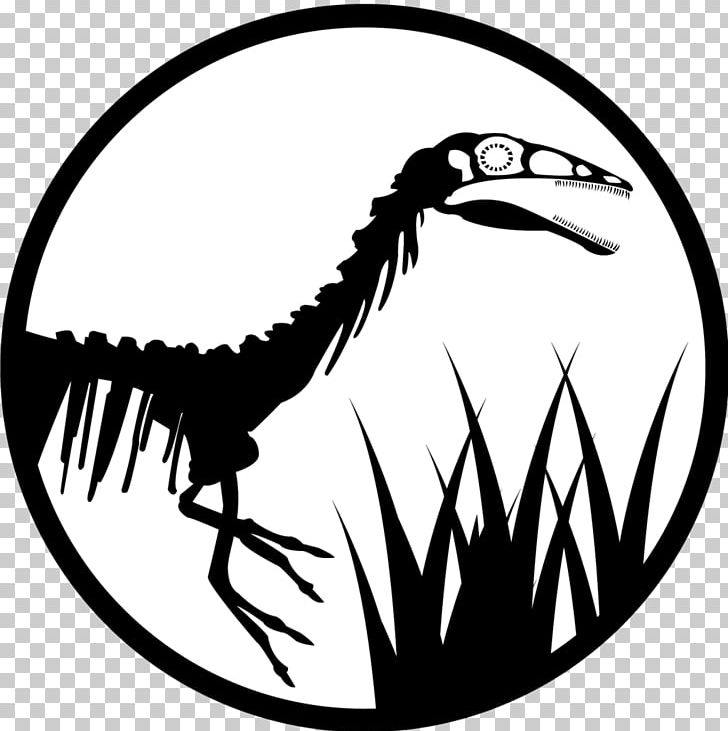 Compsognathus Velociraptor Line Art Logo Jurassic Park PNG, Clipart, Artwork, Beak, Bird, Black And White, Compsognathus Free PNG Download