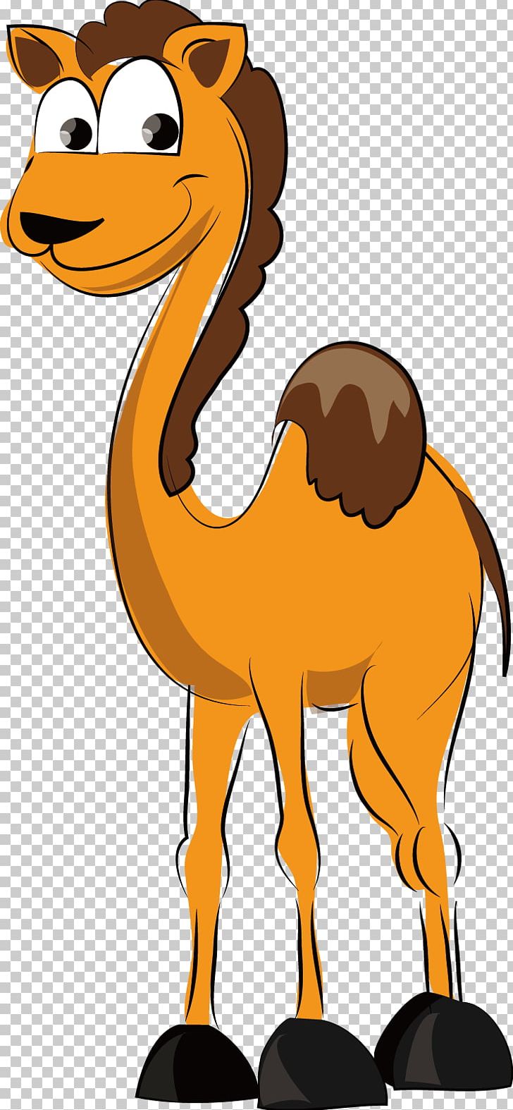 Dromedary Cartoon PNG, Clipart, Animal, Animals, Animation, Arabian Camel, Camel Cartoon Free PNG Download