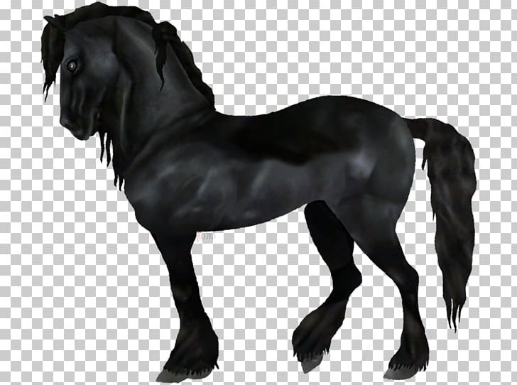 Friesian Horse Mane Stallion Mustang Friesian Sporthorse PNG, Clipart, Arabian Horse, Black, Black And White, Equine Coat Color, Friesian Horse Free PNG Download