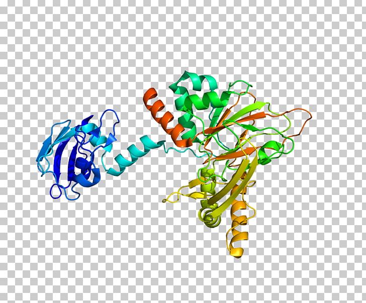 Gamma-butyrobetaine Dioxygenase Enzyme Hydroxylation Procollagen-proline Dioxygenase Trimethyllysine Dioxygenase PNG, Clipart, Area, Art, Bhf, Body Jewelry, Catalysis Free PNG Download