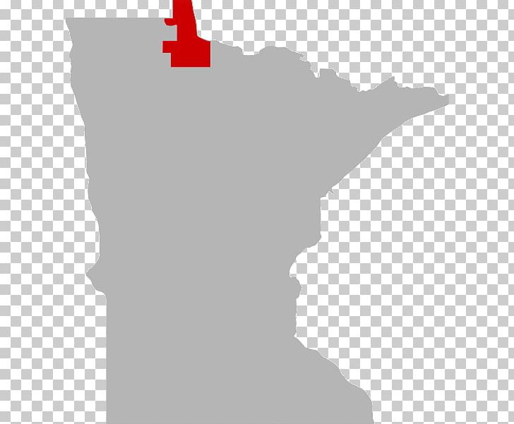 Lake Of The Woods County PNG, Clipart, Angle, County, Diagram, Douglas County Minnesota, Fishing Free PNG Download