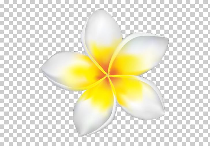 Red Frangipani Drawing PNG, Clipart, Drawing, Flower, Flowers, Flower Vector, Fotolia Free PNG Download