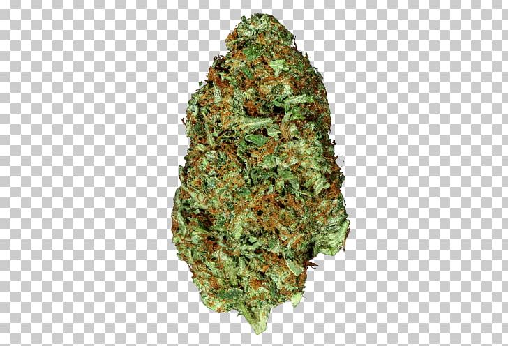 Cannabis Kush Northern Lights Skunk Tetrahydrocannabinol PNG, Clipart, Cannabidiol, Cannabis, Cannabis Sativa, Cannabis Shop, Dispensary Free PNG Download