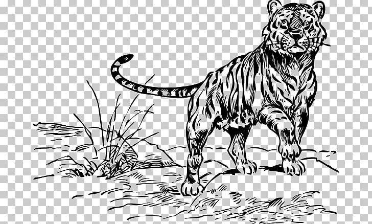 Cat Coloring Book Lion Drawing PNG, Clipart, Big Cats, Carnivoran, Cartoon, Cat Like Mammal, Color Free PNG Download