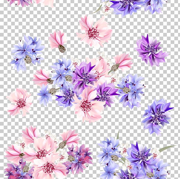 Flower Blue Stock Photography Pink PNG, Clipart, Background Vector, Beautiful, Chrysanths, Cornflower, Cut Flowers Free PNG Download