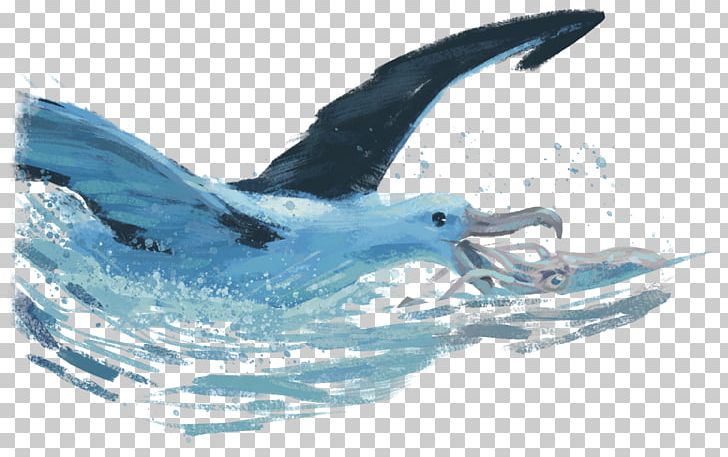 Marine Mammal Sea Bird Squid Dolphin PNG, Clipart, Animal, Beak, Bird, Bird Nest, Cetacea Free PNG Download