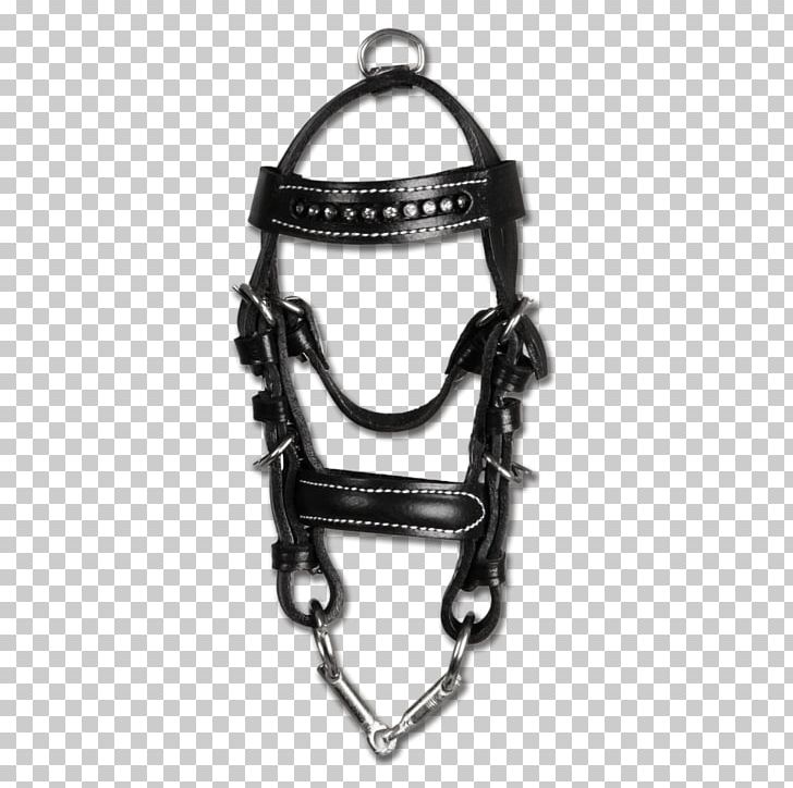 Horse Bridle Leather Key Chains PNG, Clipart, 17 Cm, Animals, Bit, Bridle, Chain Free PNG Download