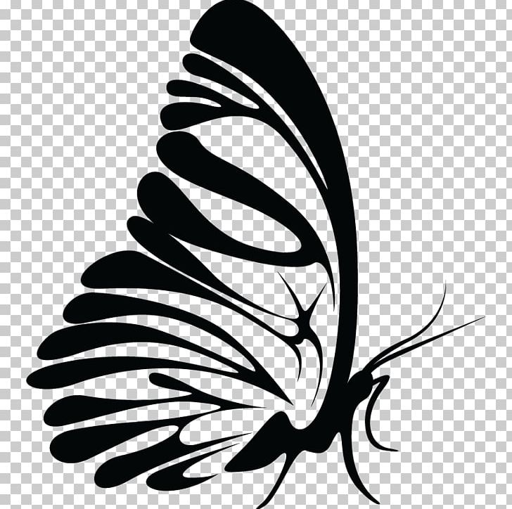 Monarch Butterfly Brush-footed Butterflies Insect PNG, Clipart, Black And White, Brush Footed Butterfly, Butterfly, Flora, Flower Free PNG Download