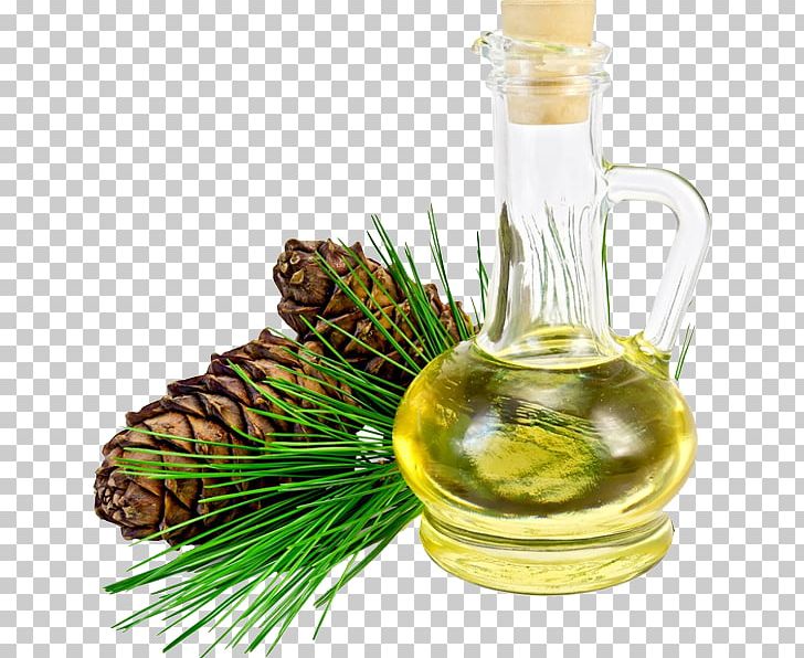 Pine Oil Pine Nut Oil Pinus Sibirica PNG, Clipart, Abies Sibirica, Business, Cedar, Cedar Oil, Conifer Cone Free PNG Download