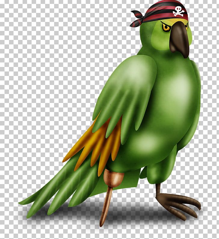 Bird Parakeet Macaw Cartoon PNG, Clipart, Animals, Background Green, Beak, Bird Cage, Birds Free PNG Download