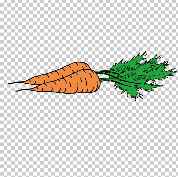 Carrot PNG, Clipart, Carrot, Daucus Carota, Download, Encapsulated Postscript, Food Free PNG Download