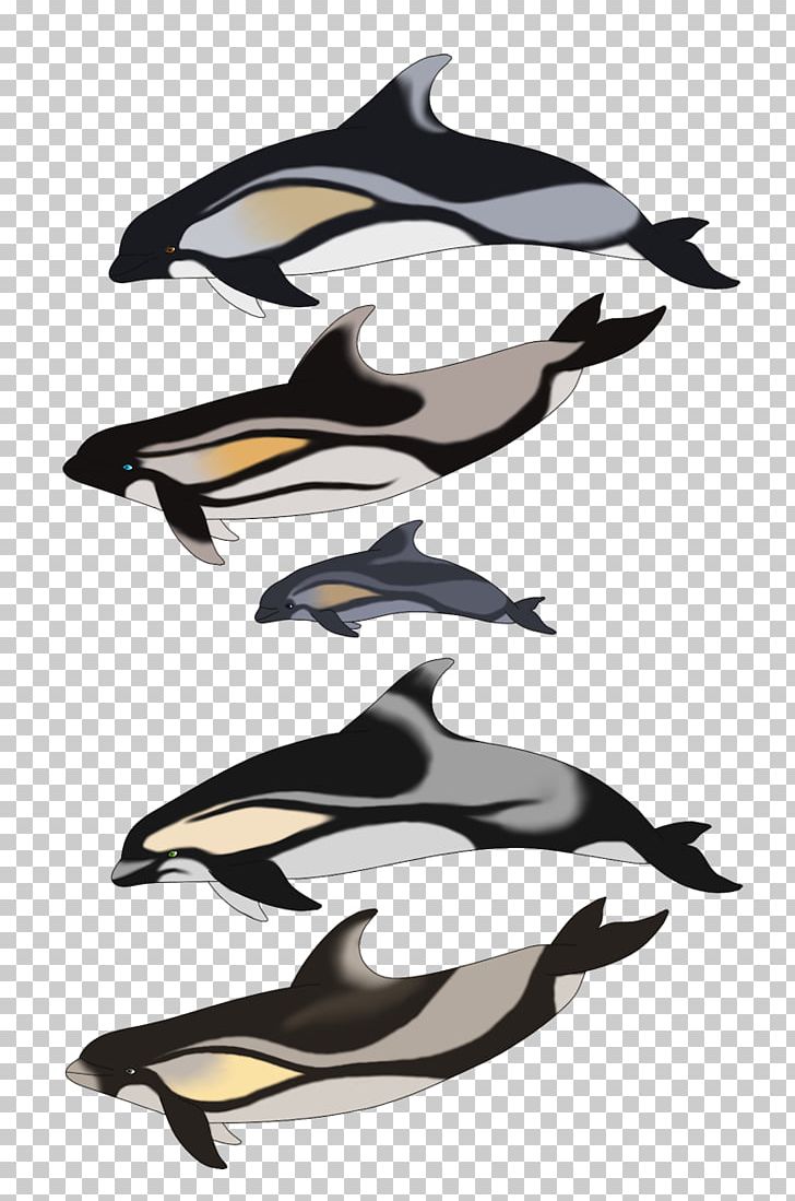 Dolphin Porpoise Killer Whale PNG, Clipart, Animals, Beak, Dolphin, Killer Whale, Mammal Free PNG Download