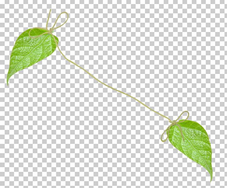 Leaf Branch Portable Network Graphics Plant Stem PNG, Clipart, Blog, Branch, Flower, Herb, Hummingbird Free PNG Download
