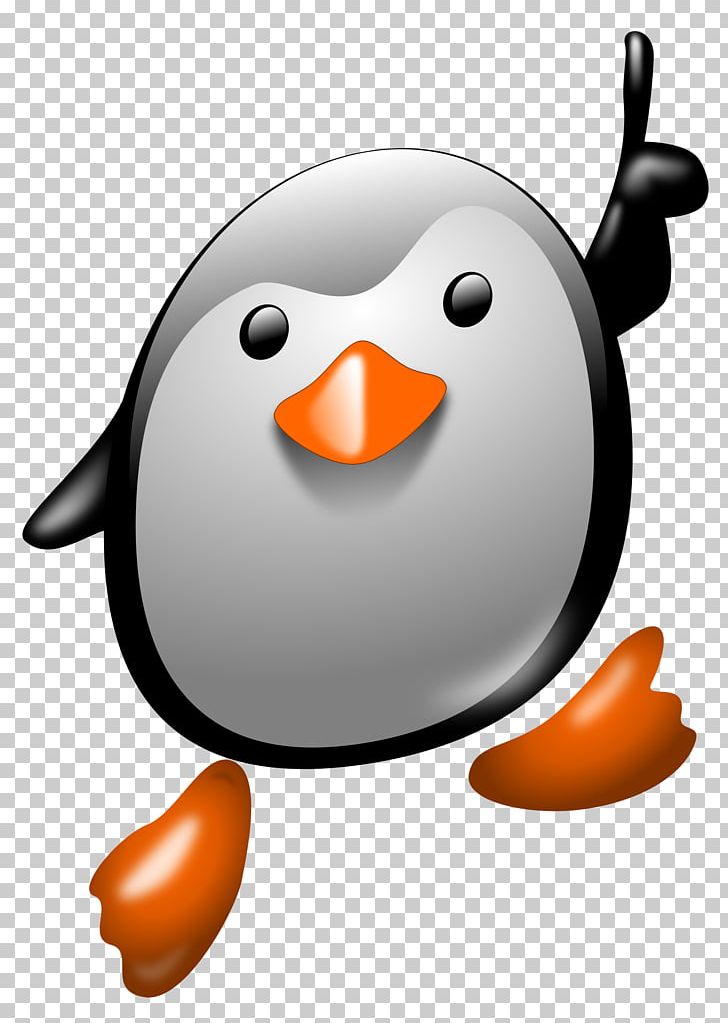 Little Penguin Tux Bird PNG, Clipart, Animals, Beak, Bird, Computer Icons, Download Free PNG Download